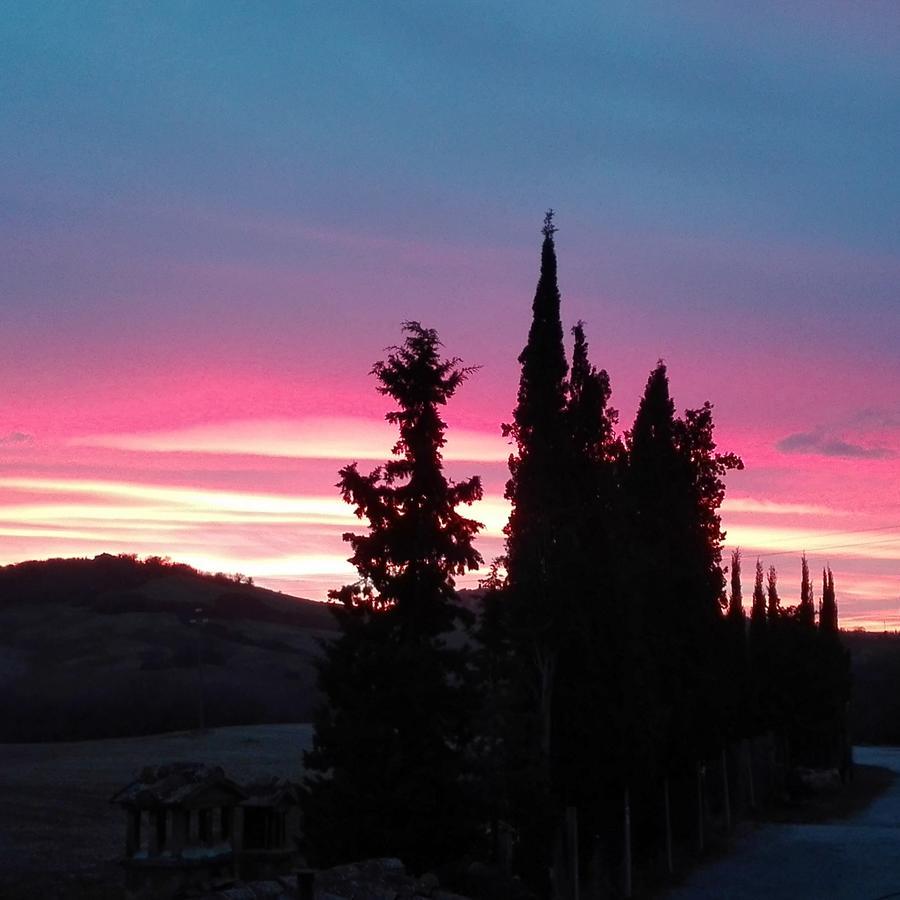 Agriturismo Casalpiano Pienza Exteriör bild