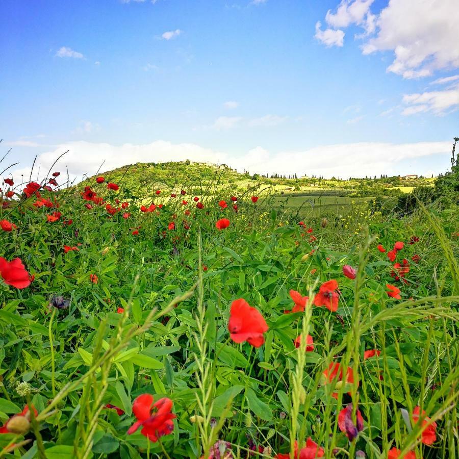 Agriturismo Casalpiano Pienza Exteriör bild